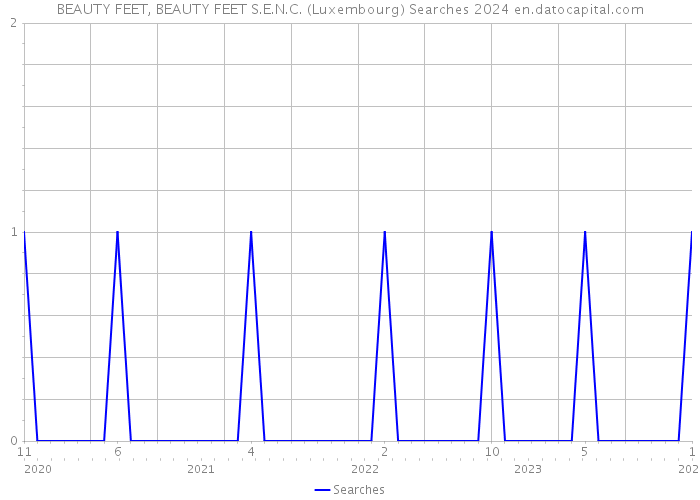 BEAUTY FEET, BEAUTY FEET S.E.N.C. (Luxembourg) Searches 2024 