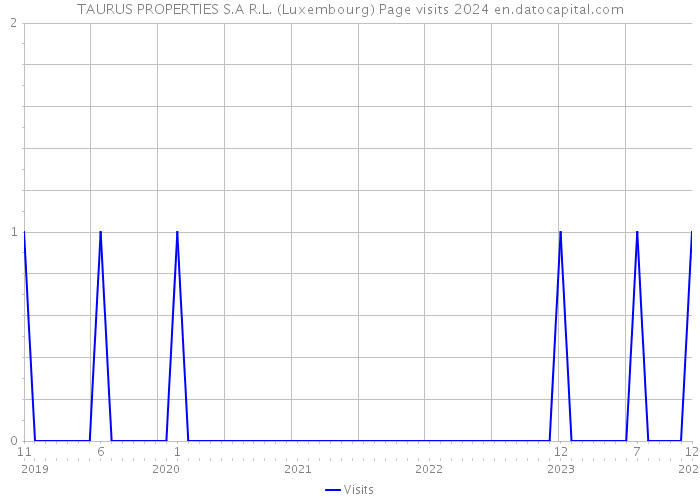 TAURUS PROPERTIES S.A R.L. (Luxembourg) Page visits 2024 