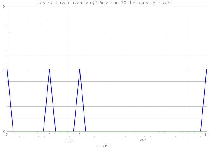 Roberto Zorzo (Luxembourg) Page visits 2024 