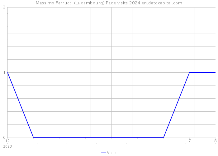 Massimo Ferrucci (Luxembourg) Page visits 2024 