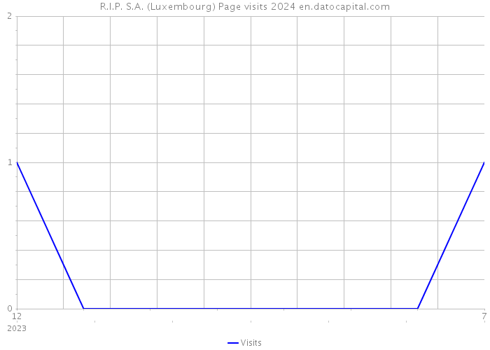 R.I.P. S.A. (Luxembourg) Page visits 2024 