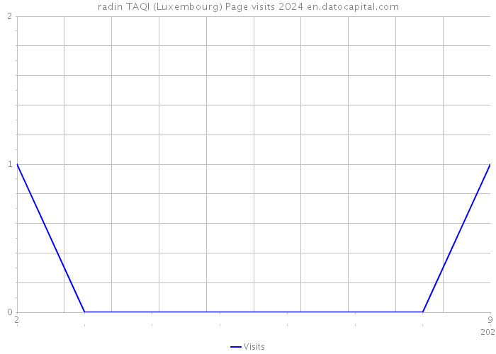 radin TAQI (Luxembourg) Page visits 2024 