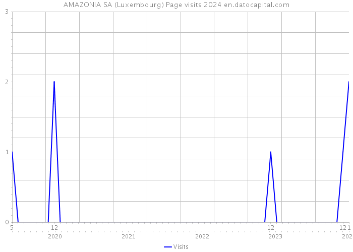 AMAZONIA SA (Luxembourg) Page visits 2024 
