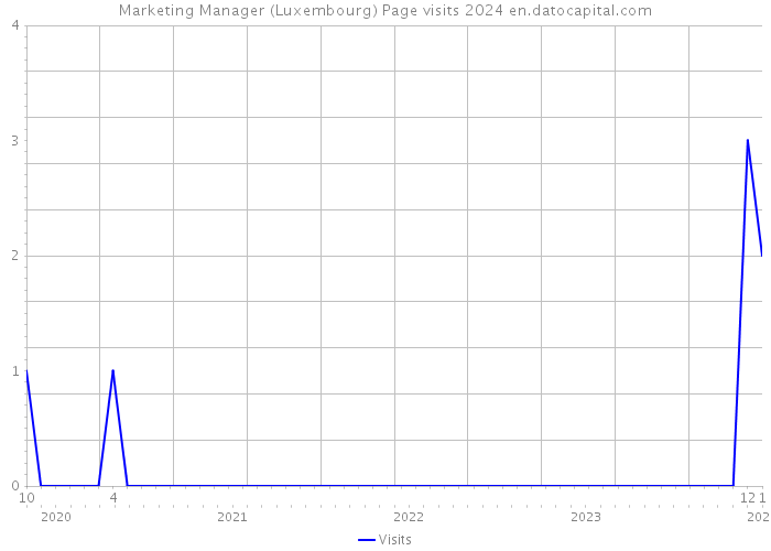 Marketing Manager (Luxembourg) Page visits 2024 