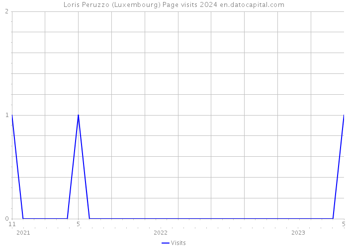Loris Peruzzo (Luxembourg) Page visits 2024 
