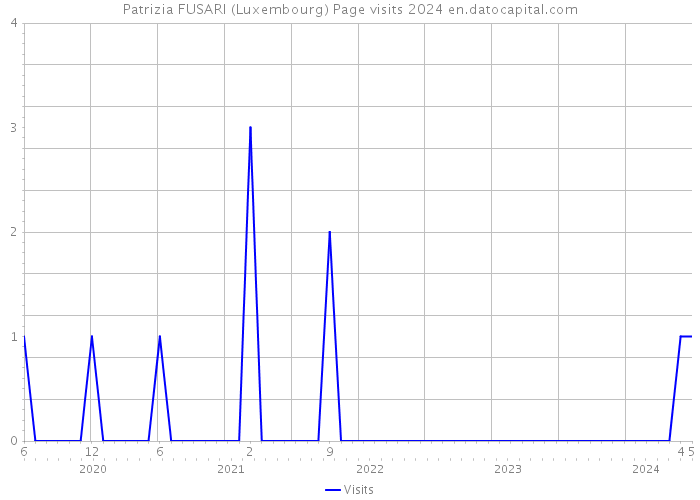Patrizia FUSARI (Luxembourg) Page visits 2024 