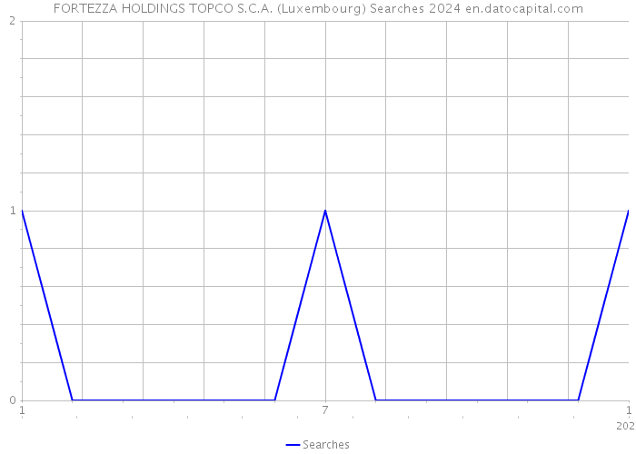 FORTEZZA HOLDINGS TOPCO S.C.A. (Luxembourg) Searches 2024 