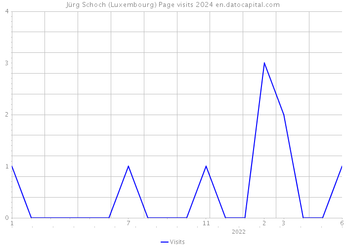 Jürg Schoch (Luxembourg) Page visits 2024 