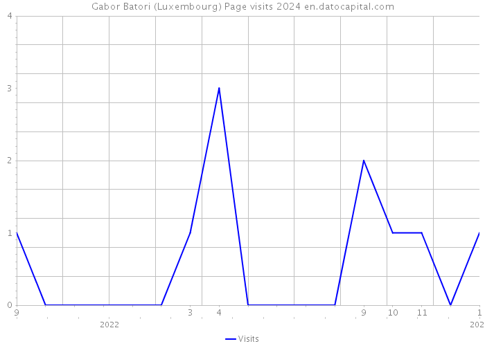 Gabor Batori (Luxembourg) Page visits 2024 