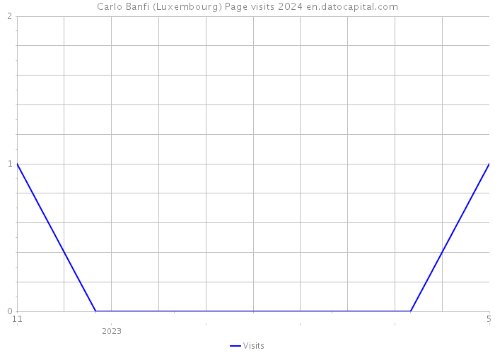 Carlo Banfi (Luxembourg) Page visits 2024 