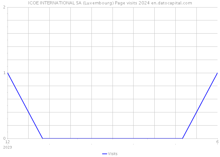 ICOE INTERNATIONAL SA (Luxembourg) Page visits 2024 