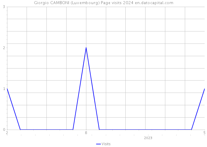 Giorgio CAMBONI (Luxembourg) Page visits 2024 