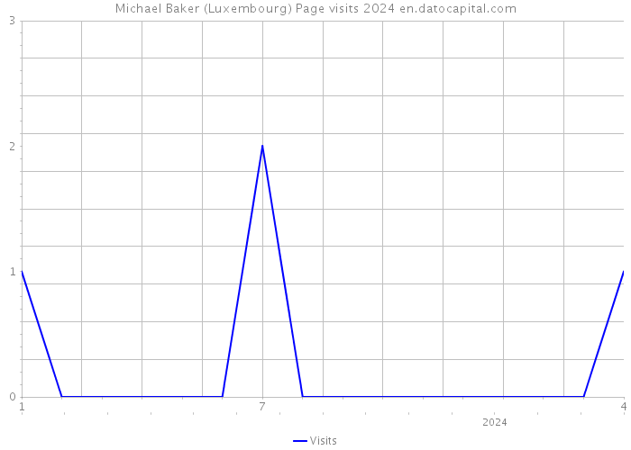 Michael Baker (Luxembourg) Page visits 2024 