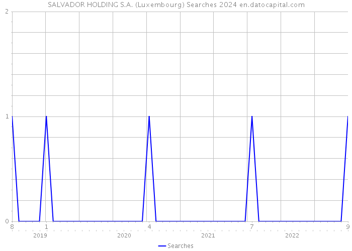 SALVADOR HOLDING S.A. (Luxembourg) Searches 2024 