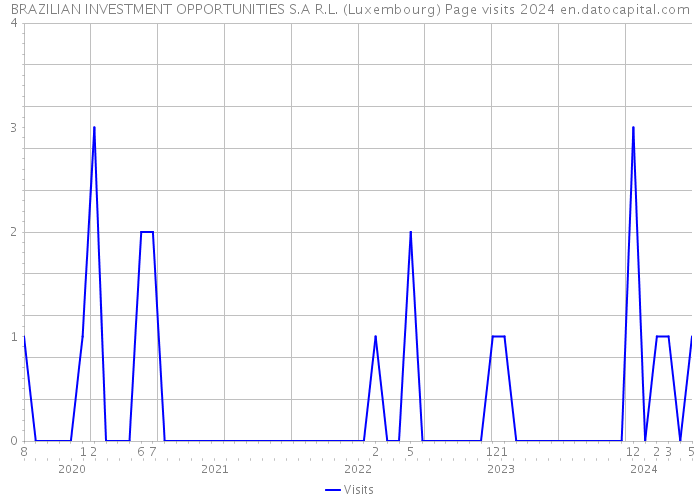BRAZILIAN INVESTMENT OPPORTUNITIES S.A R.L. (Luxembourg) Page visits 2024 