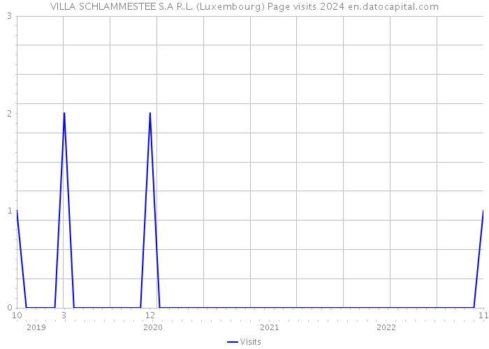 VILLA SCHLAMMESTEE S.A R.L. (Luxembourg) Page visits 2024 