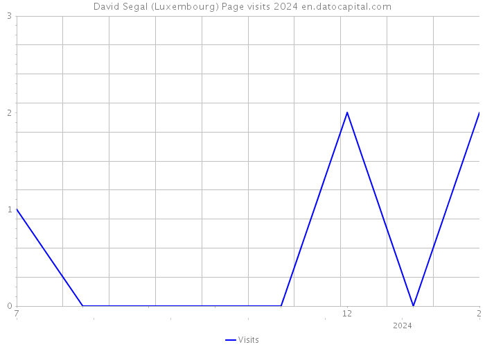 David Segal (Luxembourg) Page visits 2024 