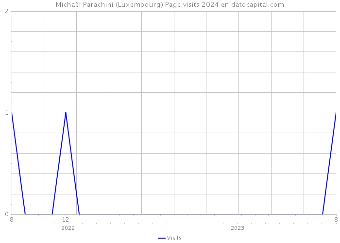 Michaël Parachini (Luxembourg) Page visits 2024 