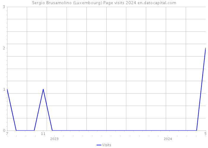 Sergio Brusamolino (Luxembourg) Page visits 2024 