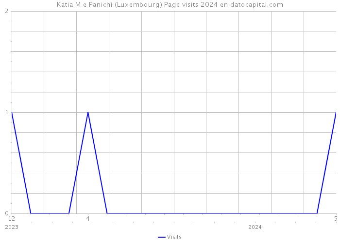 Katia M e Panichi (Luxembourg) Page visits 2024 