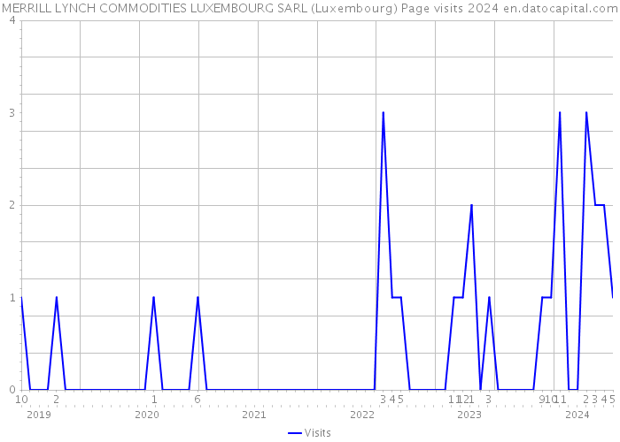 MERRILL LYNCH COMMODITIES LUXEMBOURG SARL (Luxembourg) Page visits 2024 