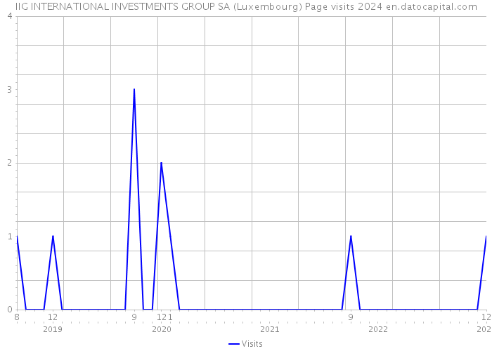 IIG INTERNATIONAL INVESTMENTS GROUP SA (Luxembourg) Page visits 2024 