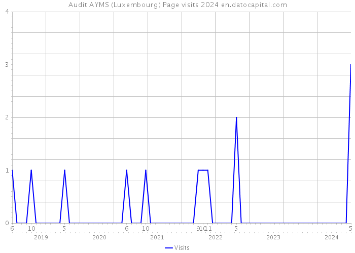 Audit AYMS (Luxembourg) Page visits 2024 