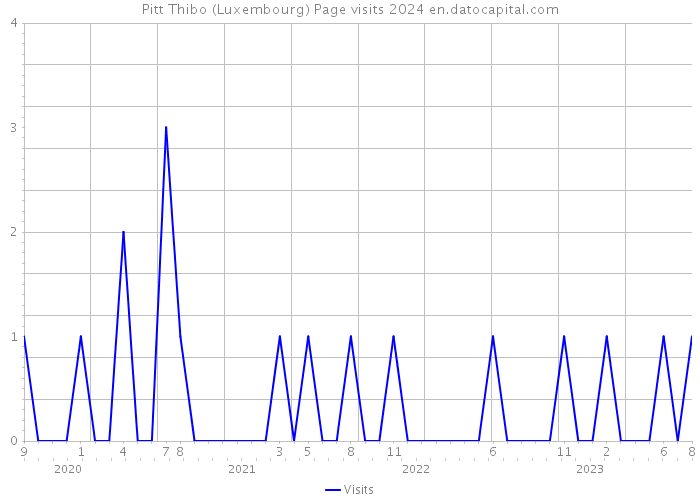 Pitt Thibo (Luxembourg) Page visits 2024 