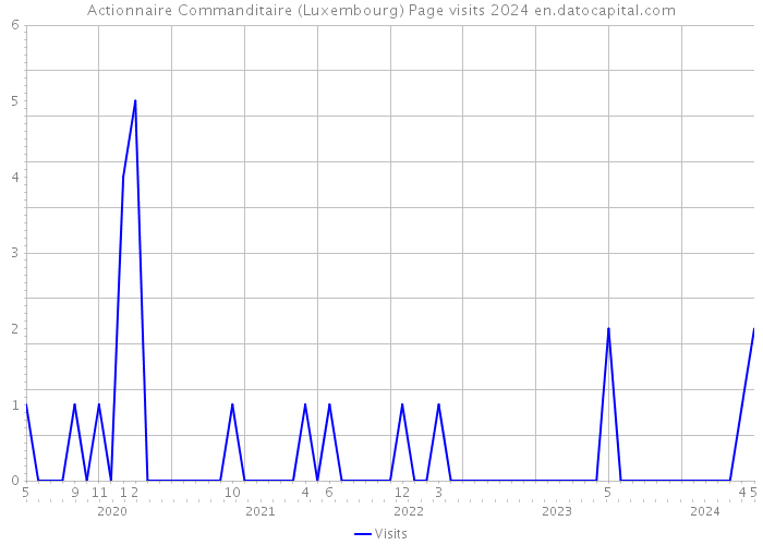 Actionnaire Commanditaire (Luxembourg) Page visits 2024 
