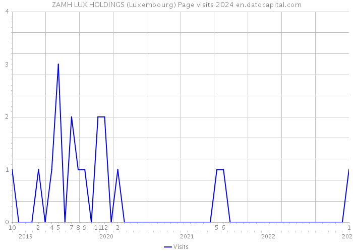 ZAMH LUX HOLDINGS (Luxembourg) Page visits 2024 