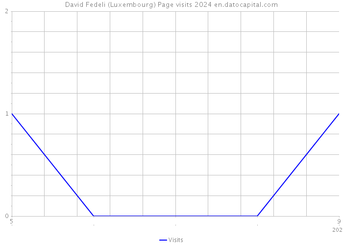 David Fedeli (Luxembourg) Page visits 2024 