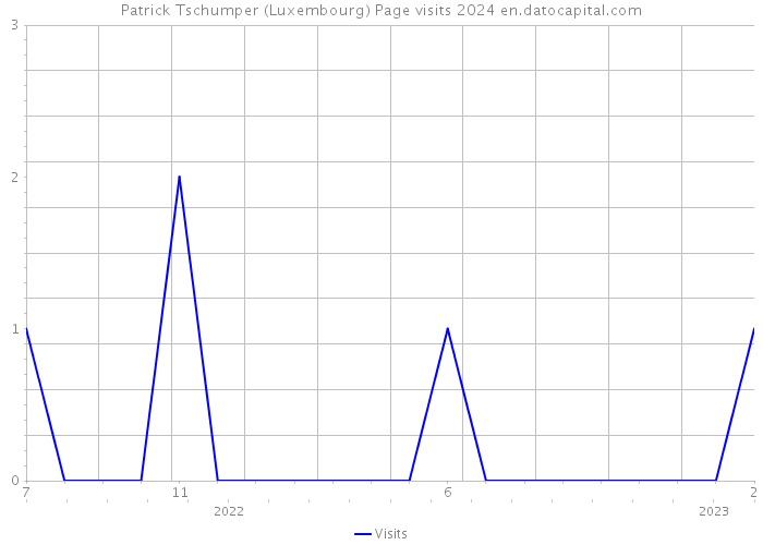 Patrick Tschumper (Luxembourg) Page visits 2024 