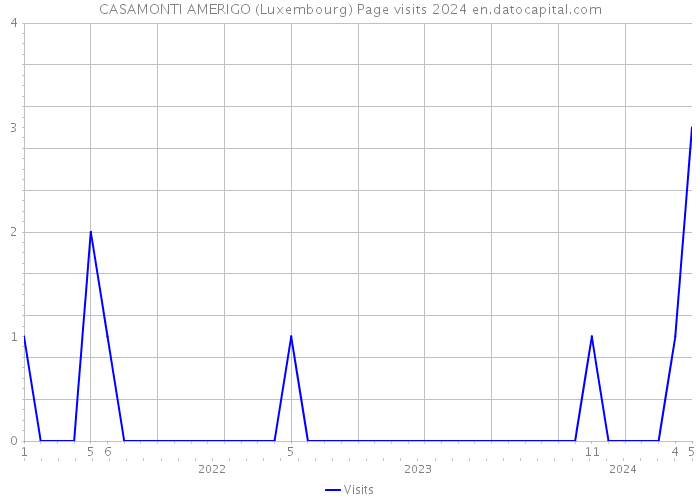 CASAMONTI AMERIGO (Luxembourg) Page visits 2024 