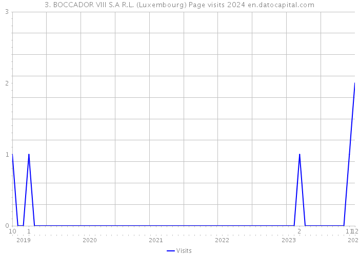 3. BOCCADOR VIII S.A R.L. (Luxembourg) Page visits 2024 