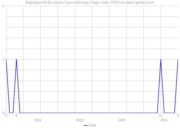 Raphaeumll Docquier (Luxembourg) Page visits 2024 