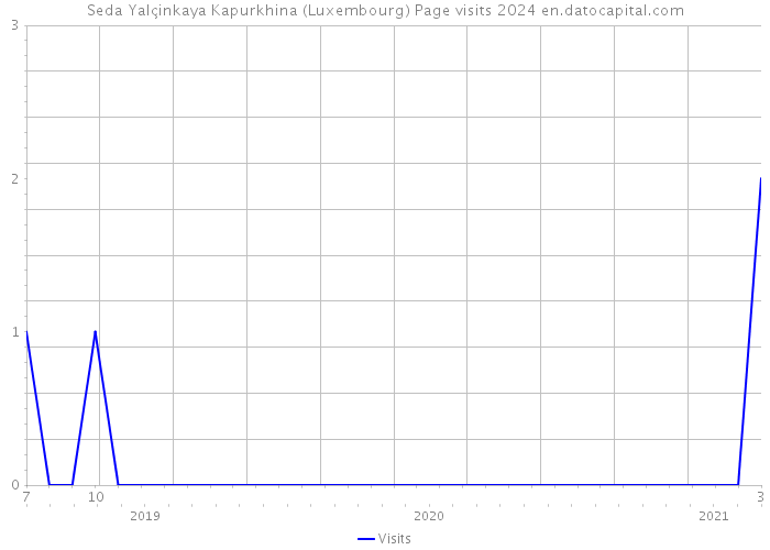 Seda Yalçinkaya Kapurkhina (Luxembourg) Page visits 2024 