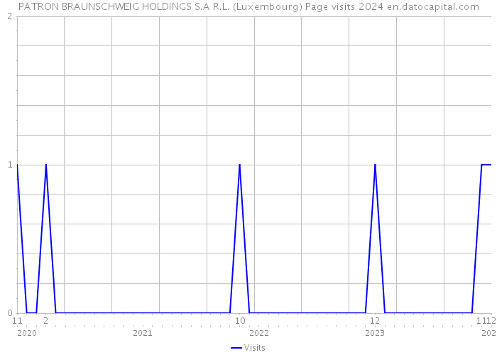 PATRON BRAUNSCHWEIG HOLDINGS S.A R.L. (Luxembourg) Page visits 2024 