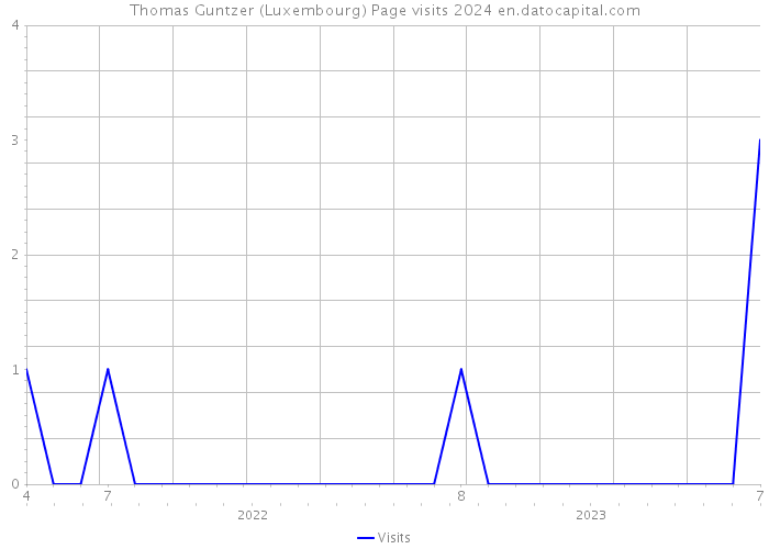 Thomas Guntzer (Luxembourg) Page visits 2024 