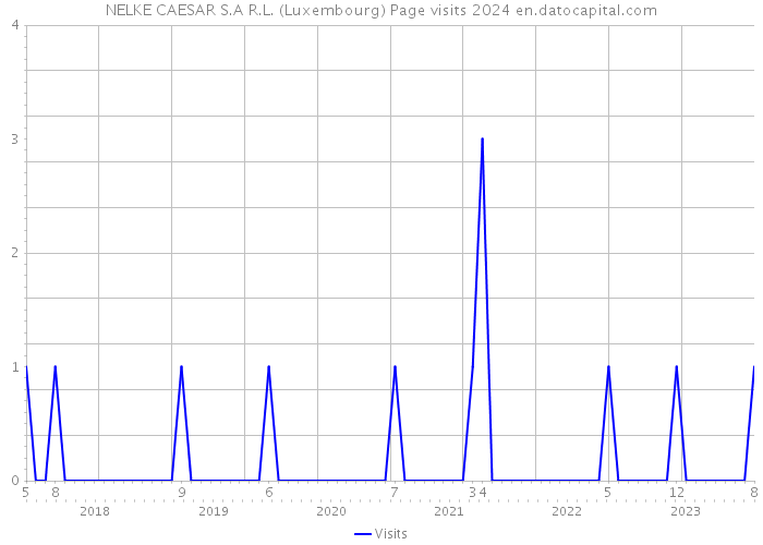 NELKE CAESAR S.A R.L. (Luxembourg) Page visits 2024 