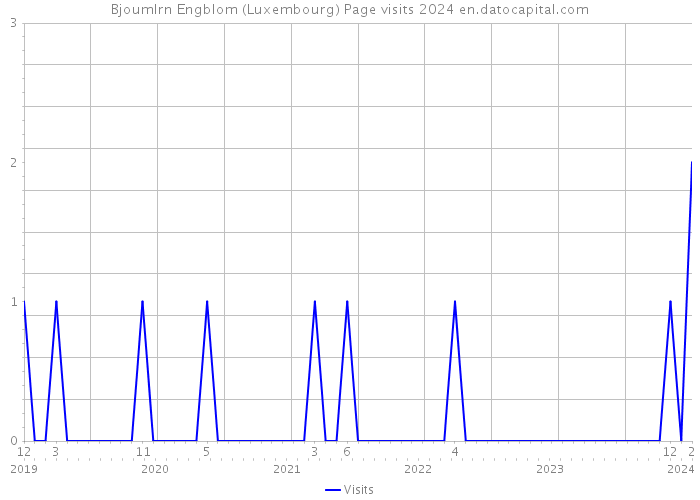 Bjoumlrn Engblom (Luxembourg) Page visits 2024 