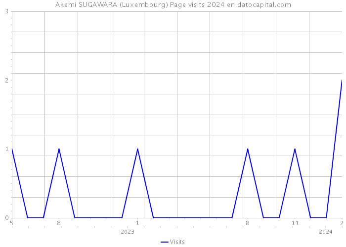 Akemi SUGAWARA (Luxembourg) Page visits 2024 