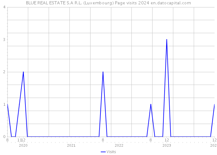 BLUE REAL ESTATE S.A R.L. (Luxembourg) Page visits 2024 
