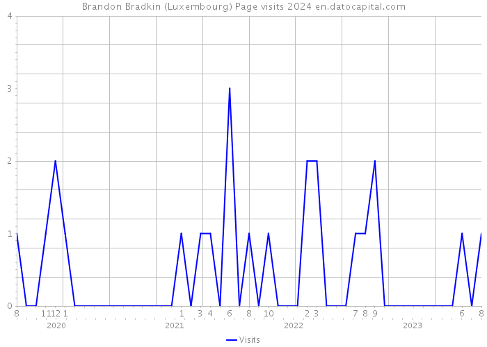 Brandon Bradkin (Luxembourg) Page visits 2024 