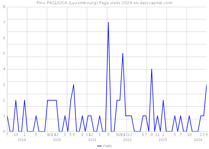 Pino PAGLIUCA (Luxembourg) Page visits 2024 
