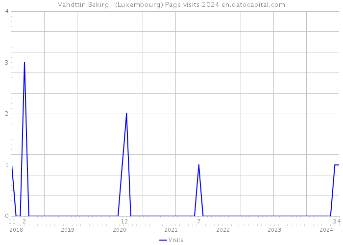 Vahdttin Bekirgil (Luxembourg) Page visits 2024 
