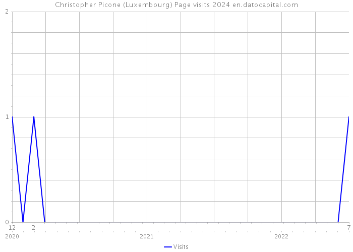 Christopher Picone (Luxembourg) Page visits 2024 
