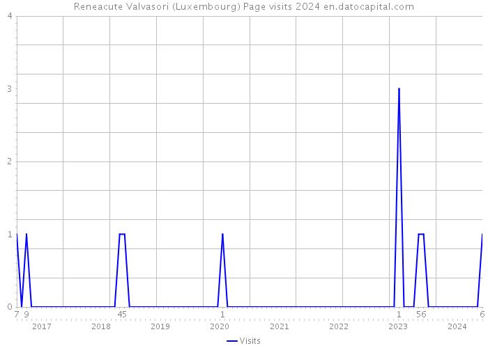 Reneacute Valvasori (Luxembourg) Page visits 2024 
