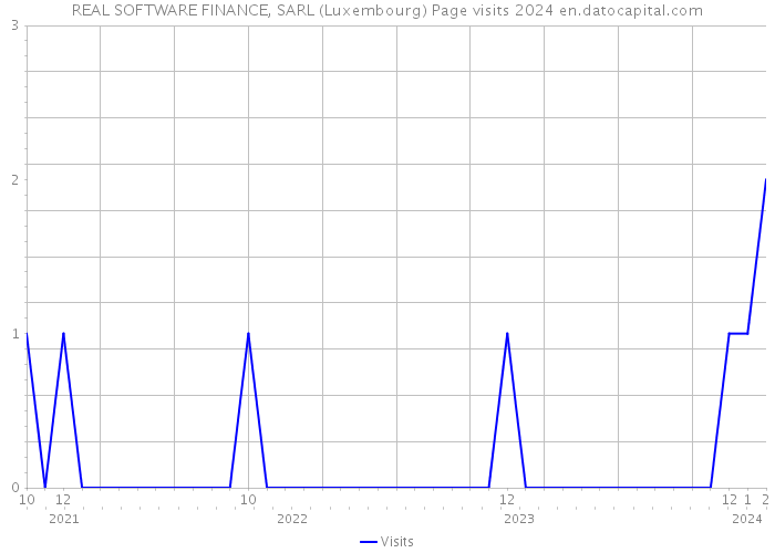 REAL SOFTWARE FINANCE, SARL (Luxembourg) Page visits 2024 