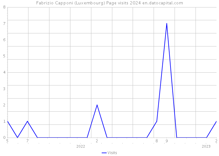 Fabrizio Capponi (Luxembourg) Page visits 2024 