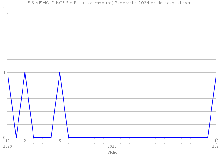 BJS ME HOLDINGS S.A R.L. (Luxembourg) Page visits 2024 